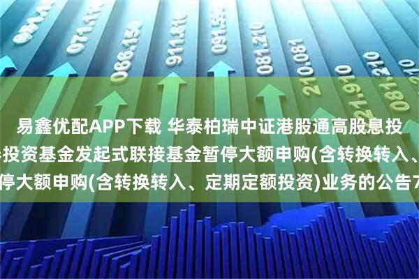 易鑫优配APP下载 华泰柏瑞中证港股通高股息投资交易型开放式指数证券投资基金发起式联接基金暂停大额申购(含转换转入、定期定额投资)业务的公告7