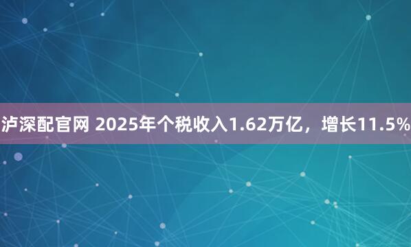 泸深配官网 2025年个税收入1.62万亿,增长11.5%
