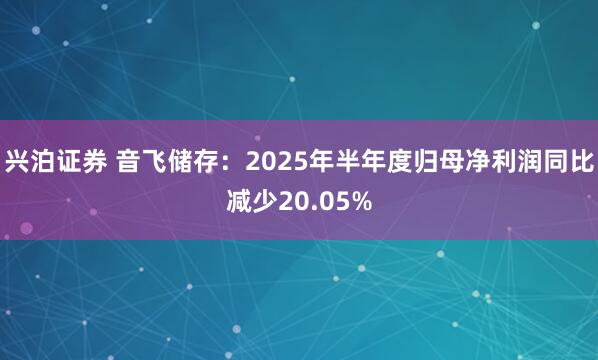 兴泊证券 音飞储存：2025年半年度归母净利润同比减少20.05%