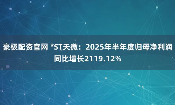 豪极配资官网 *ST天微：2025年半年度归母净利润同比增长2119.12%