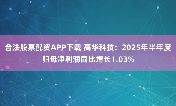 合法股票配资APP下载 高华科技：2025年半年度归母净利润同比增长1.03%