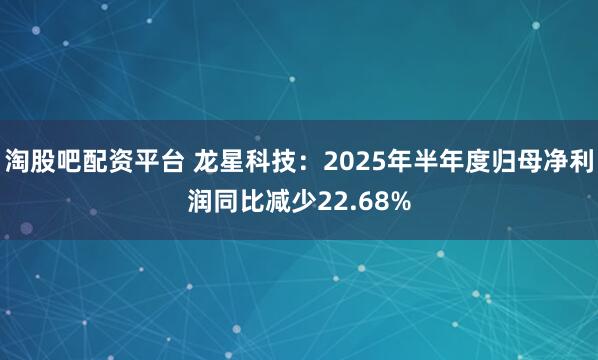 淘股吧配资平台 龙星科技:2025年半年度归母净利润同比减少22.68%